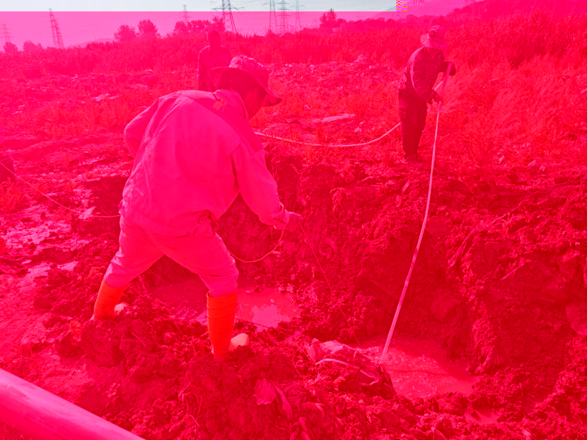 20240613085080318031